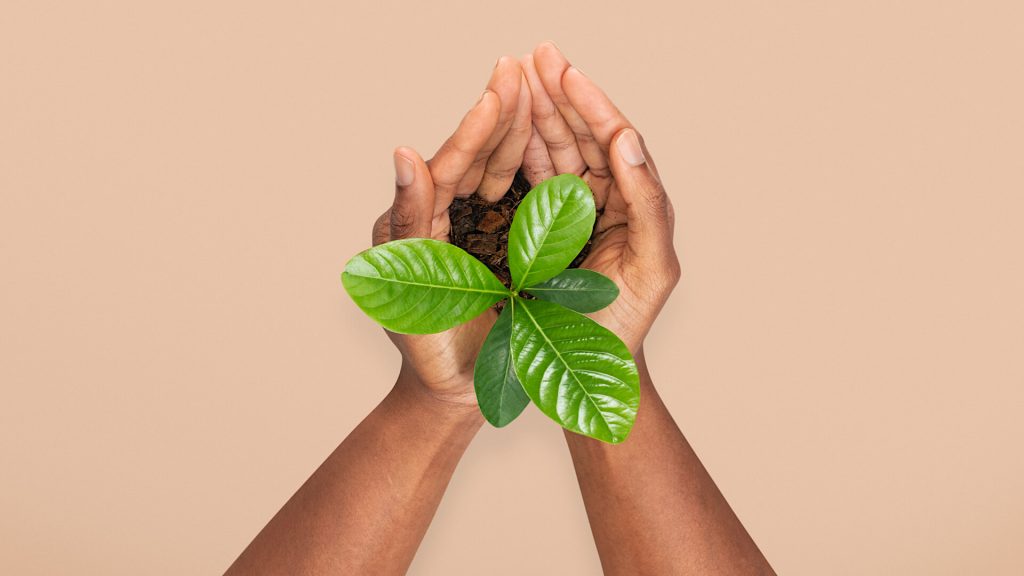 skincare2 1920x1080 tj